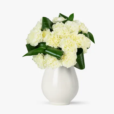 Buchet de 19 garoafe albe