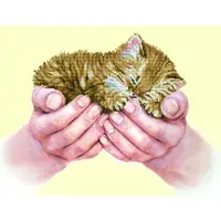 Set de creatie mozaic Diamond dotz Precious Kitten