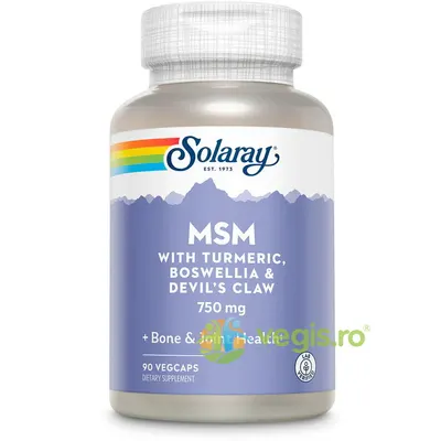 MSM 750mg (Metilsulfonilmetan) 90cps Secom