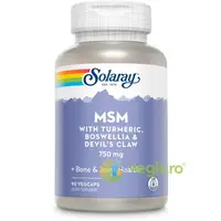 MSM 750mg (Metilsulfonilmetan) 90cps Secom,