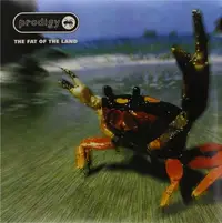 The Fat of The Land - Vinyl