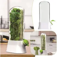 Recipient pentru păstrarea ierburilor aromatice și legumelor proaspete în frigider, eCarla, POJ09