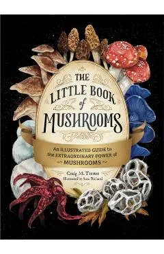 The Little Book of Mushrooms: An Illustrated Guide to the Extraordinary Power of Mushrooms