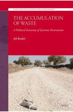 The Accumulation of Waste: A Political Economy of Systemic Destruction