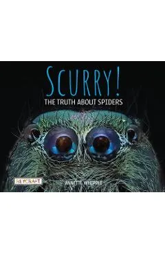 Scurry! the Truth about Spiders