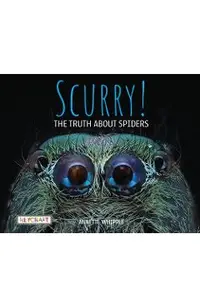 Scurry! the Truth about Spiders