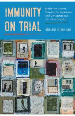Immunity on Trial: Ethiopian Courts, Chinese Corporations, and Contestations Over Sovereignty