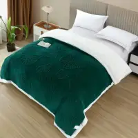 Patura Cocolino cu Fluturi 3D cu Blanita Sherpa, 200x230 cm – Confort si Eleganta de la Johny Home Pucioasa, Verde
