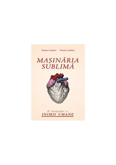 Maşinăria sublimă - Paperback - Stephen Amidon
