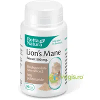 Lion's Mane Extract 500mg 30cps