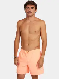 Sorturi de baie pentru barbati O'Neill Logo 16'' Swimshorts barbati