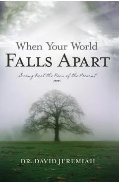 When Your World Falls Apart: See Past the Pain of the Present