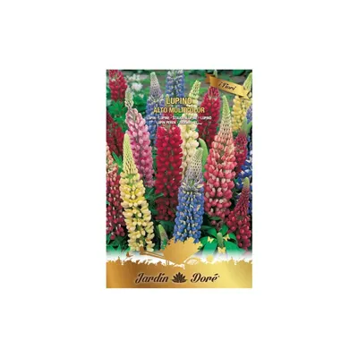 Set 4 x Seminte Flori Lupin, Amestec Multicolor, Raci Sementi