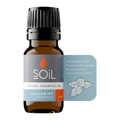 Ulei Esential Menta Creata Pur 100% Organic, 10ml, Soil