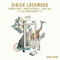 Open Doors - Vinyl