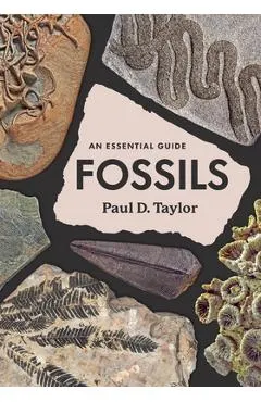 Fossils: An Essential Guide