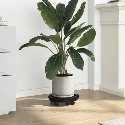 vidaXL Cărucioare de plante cu roți 5 buc. negru diametru 30 cm 170 kg