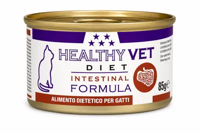 Conserva dietetica pentru pisici Healthy Vet Diet Intestinal Formula 85 gr