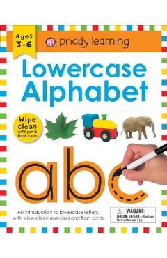 Wipe Clean Workbook: Lowercase Alphabet (Enclosed Spiral Binding): Ages 3-6; With Pen & Flash Cards