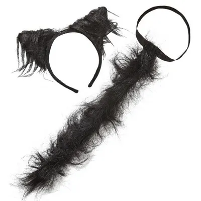 Set pisica urechi si coada