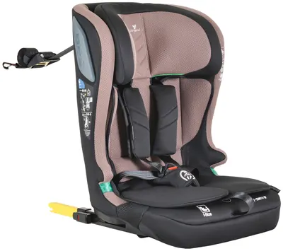 Scaun auto Cangaroo - iDrive, i-Size, IsoFix , 76-150 cm, Powder-Puff