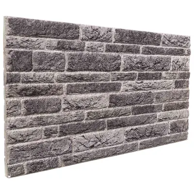 vidaXL Panouri de perete 10 buc. 100 x 50 cm Antracit Spumă EPS