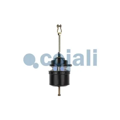Cojali 2251503