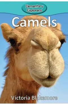 Camels