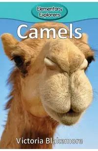 Camels