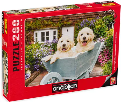 Puzzle Anatolian din 260 de piese - Catelus in carucior, Greg Cuddiford