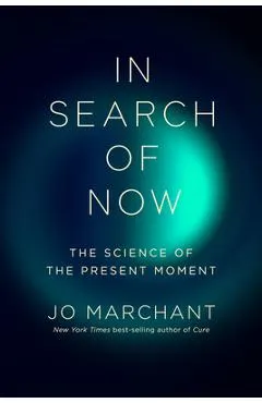 In Search of Now: The Science of the Present Moment
