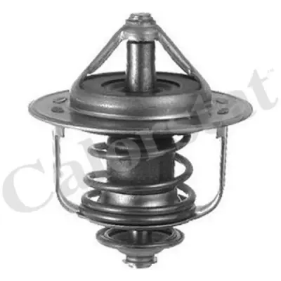 Termostat, lichid racire CALORSTAT by Vernet TH6858.89J