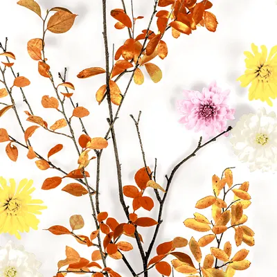 Servetele AUTUMN BRANCH, 33x33 cm
