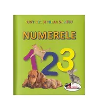 Numerele. Sunt mic și vreau să aflu - Hardcover - ***