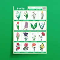 Florile