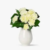 Buchet de 11 garoafe albe