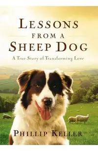 Lessons from a Sheep Dog