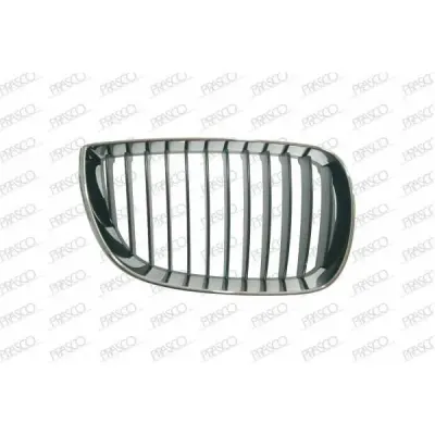Grila radiator PRASCO BM1202003