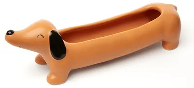 Ghiveci mic Kikkerland - Teckel, maro