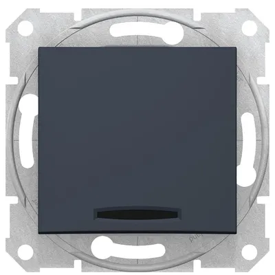 Intrerupator simplu 10 AX cu indicator luminos Schneider Sedna SDN0400370, grafit