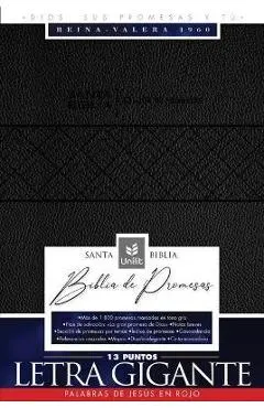 Santa Biblia de Promesas Reina-Valera 1960 / Letra Gigante - 13 Puntos / Piel Especial / Negra // Spanish Promise Bible Rvr60 / Giant Print / Leathers