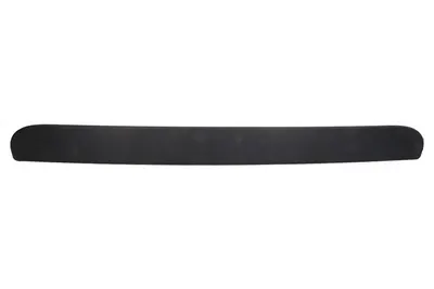 Maner haion potrivit CHRYSLER TOWN & COUNTRY, VOYAGER; DODGE CARAVAN 2000-2008