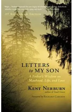 Letters to My Son: A Father's Wisdom on Manhood, Life, and Love