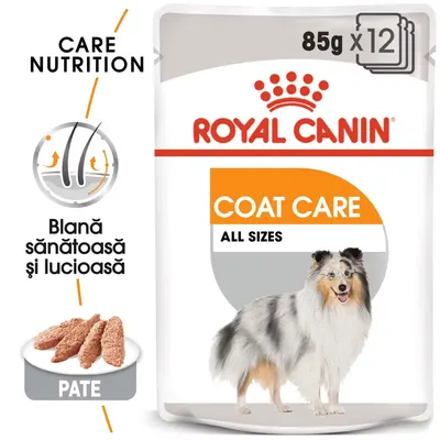 Royal Canin Coat Care Adult hrana umeda caine, blana sanatoasa si lucioasa (pate), 12x85 g