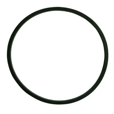 Oring Carburator Briggs-Stratton 281165S
