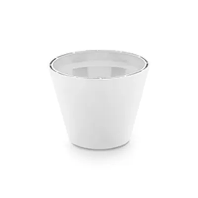 Cylindrical Cupnwhite