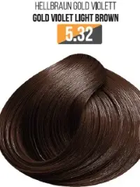 Vopsea Profesionala Fara Amoniac EVOQUE USA, Nuanta 5.32 GOLD VIOLET LIGHT BROWN - Cu Ulei de Argan si 12 Aminoacizi, 100 ml - Evoque
