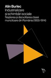 Industrializare și schimbări sociale - Paperback brosat - Alin Burlec