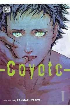 Coyote, Vol. 1