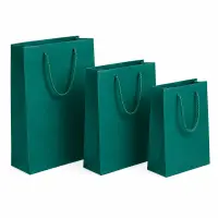 Pungi cadou dreptunghiulare uni - verde (set 12 buc) - Medie 26x32x10cm